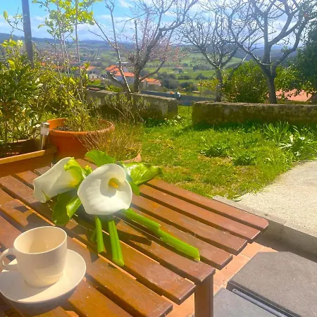 Casuca El Trisquel - 18002