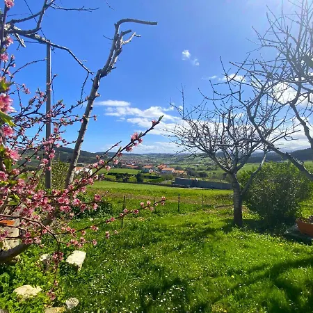 Nyaraló Casuca El Trisquel - 18002 *