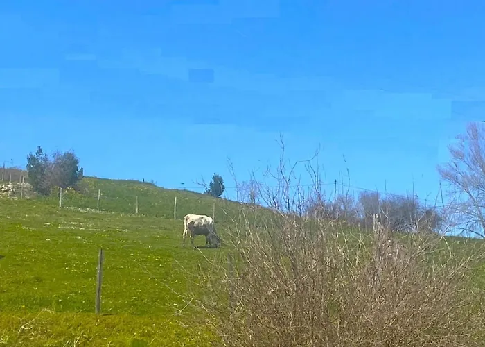 Holiday home Casuca El Trisquel - 18002 *