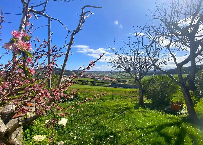 Holiday home Casuca El Trisquel - 18002 *