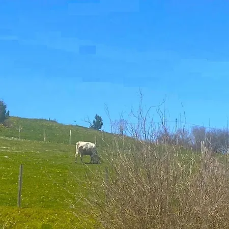 度假居 Casuca El Trisquel - 18002 *