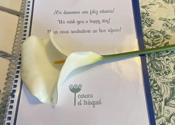 Casuca El Trisquel - 18002